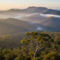 Mount Dandenong drone photography capturing stunning Victoria views