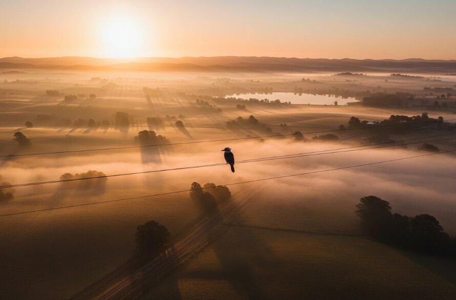 Stunning Churchill Victoria drone photography scenic landscapes captured at dawn, showcasing the serene Latrobe Valley with mist rolling over rolling hills, bathed in golden light, an epic moment of natural beauty.