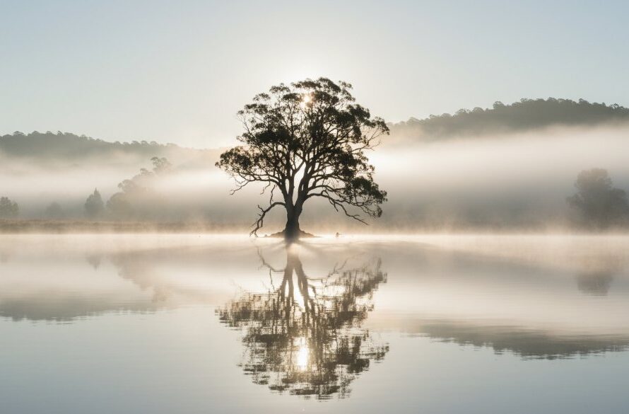 A breathtaking, dramatically lit fine art landscape photograph showcasing the misty dawn over a tranquil lake near Churchill Victoria, with a lone, silhouetted tree, embodying Churchill Victoria fine art landscape photography.