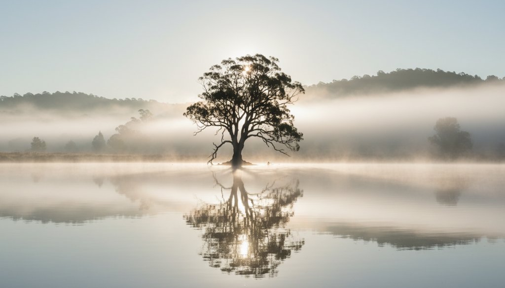 A breathtaking, dramatically lit fine art landscape photograph showcasing the misty dawn over a tranquil lake near Churchill Victoria, with a lone, silhouetted tree, embodying Churchill Victoria fine art landscape photography.