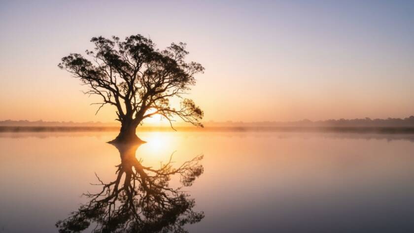 An epic moment captured in Cranbourne East fine art landscape photography, featuring a dramatic sunrise over a tranquil wetland with a lone gum tree silhouetted, reflecting vibrant orange and purple hues in still water, professionally color-graded with cinematic depth.
