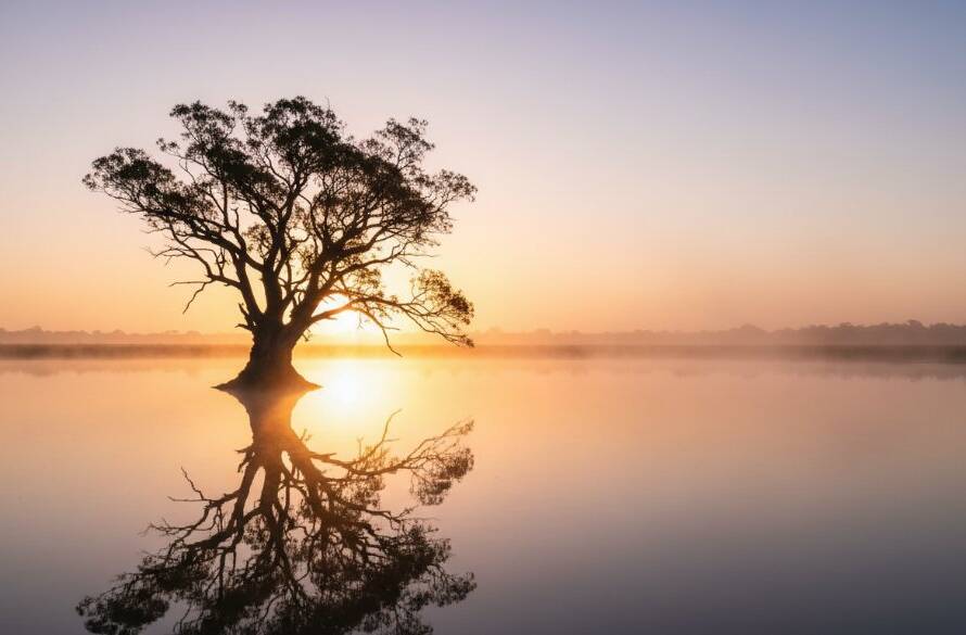 An epic moment captured in Cranbourne East fine art landscape photography, featuring a dramatic sunrise over a tranquil wetland with a lone gum tree silhouetted, reflecting vibrant orange and purple hues in still water, professionally color-graded with cinematic depth.