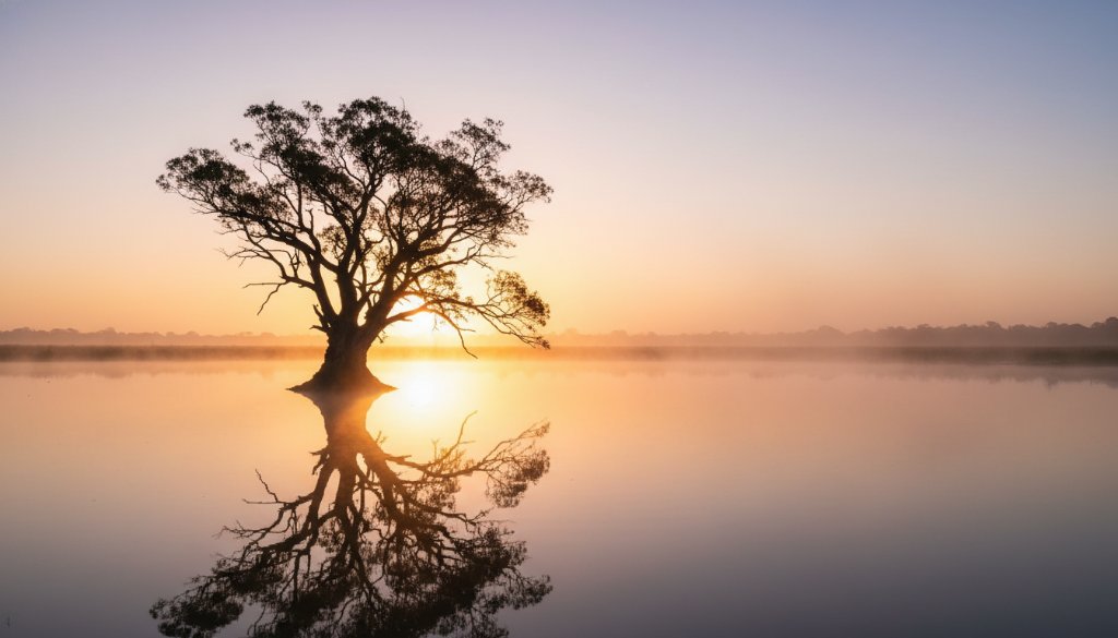 An epic moment captured in Cranbourne East fine art landscape photography, featuring a dramatic sunrise over a tranquil wetland with a lone gum tree silhouetted, reflecting vibrant orange and purple hues in still water, professionally color-graded with cinematic depth.