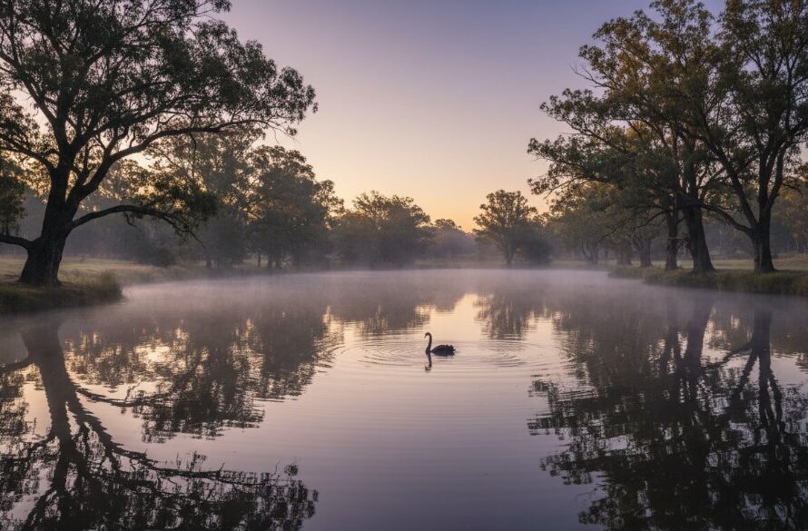 A breathtaking Creswick Victoria fine art landscape photography experience showcasing a serene, mist-shrouded lake at dawn, reflecting ancient gum trees under a dramatic, soft golden sky, capturing an epic moment of natural beauty.