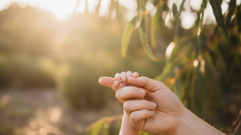 A heartwarming, professionally lit 'epic moment' photograph showcasing Donvale newborn photography capturing natural light moments, with a baby nestled gently in a basket amidst soft morning light in a natural Donvale setting.