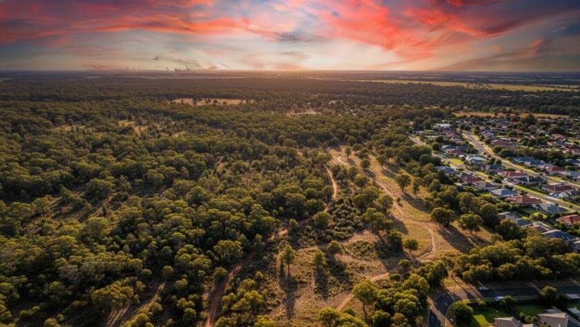 Dramatic drone view of Langwarrin's lush bushland meeting suburban homes at sunset, showcasing the captivating landscapes of the area, embodying Langwarrin aerial photography captivating landscapes.