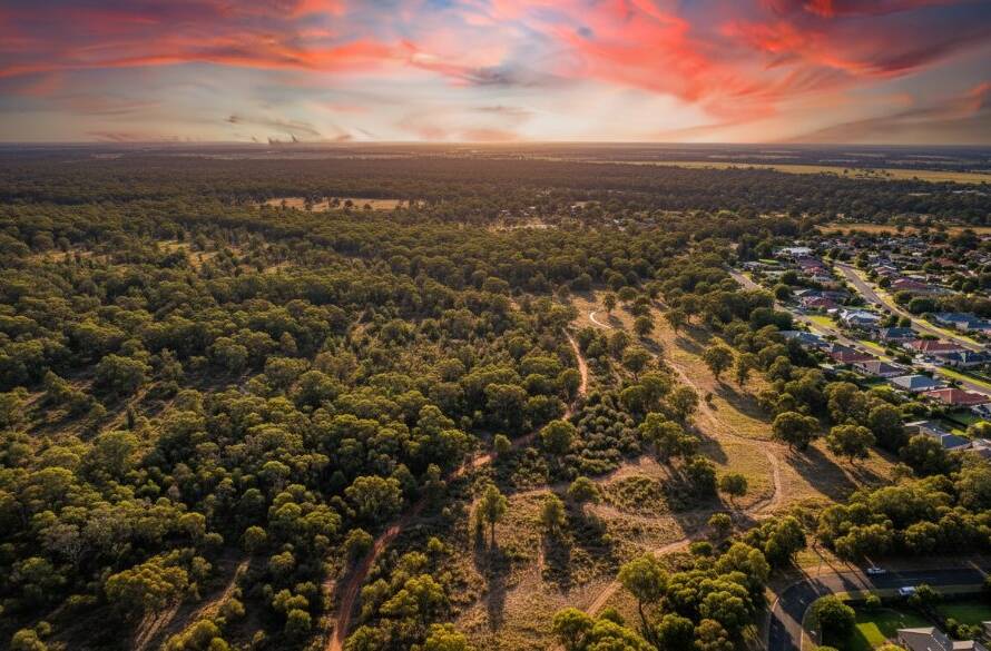 Dramatic drone view of Langwarrin's lush bushland meeting suburban homes at sunset, showcasing the captivating landscapes of the area, embodying Langwarrin aerial photography captivating landscapes.