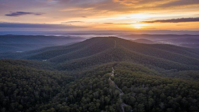 An epic moment captured by Upper Ferntree Gully drone photography, showcasing a vibrant sunset over the Dandenong Ranges with dense eucalyptus forest below and a distant view of the city skyline, professionally color-graded with dramatic lighting.
