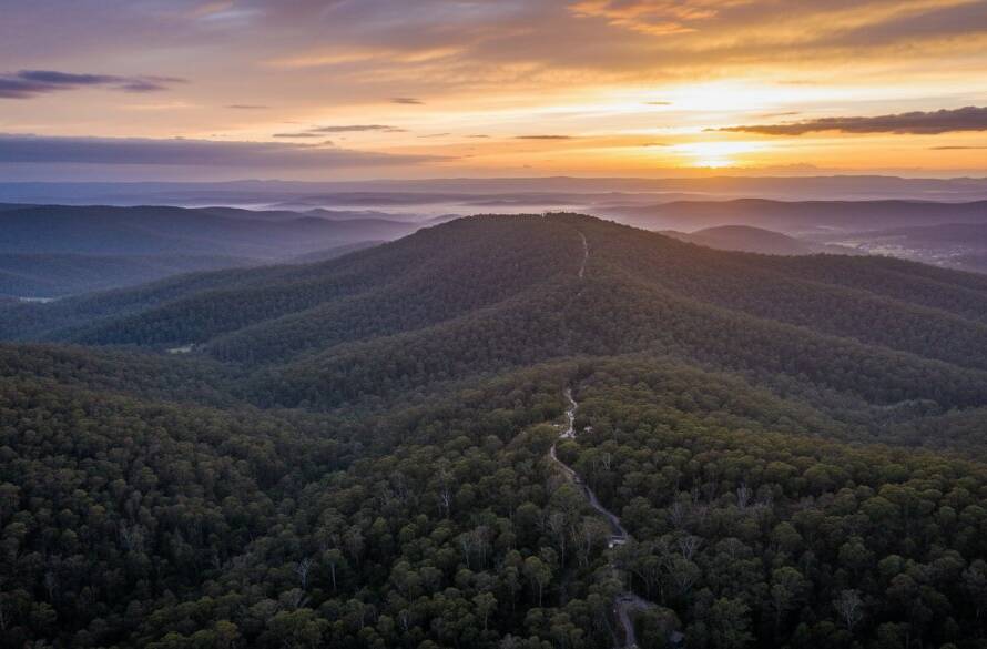 An epic moment captured by Upper Ferntree Gully drone photography, showcasing a vibrant sunset over the Dandenong Ranges with dense eucalyptus forest below and a distant view of the city skyline, professionally color-graded with dramatic lighting.